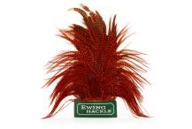 Ewing Rooster Saddle